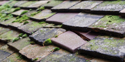 Manningtree roof repair costs